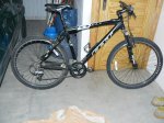 venta felt 001.jpg