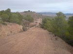 DSC00737.jpg