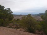 DSC00739.jpg