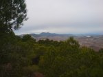 DSC00742.jpg