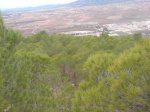 DSC00743.jpg