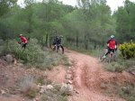 DSC03737.JPG