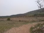 DSC00761.jpg