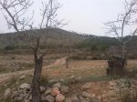 DSC00762.jpg