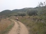DSC00764.jpg