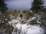 Foto6.JPG