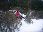 Foto31.JPG