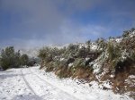 el arenal 037.jpg