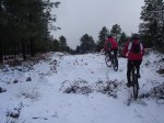 el arenal 050.jpg