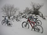 PICT0027-1.JPG