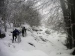 PICT0033-1.JPG
