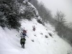 PICT0039-1.JPG