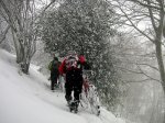 PICT0048-1.JPG