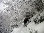 PICT0083-1.JPG