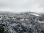 CIMG0043.jpg