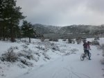 CIMG0044.jpg