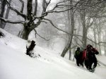 PICT0059-1.JPG