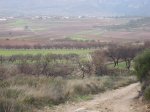 Ruta 33. Azud de TuÃ©jar (18).JPG