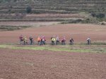 Ruta 33. Azud de TuÃ©jar (21).jpg