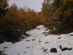 R0013041.JPG
