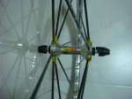 DSC01375.jpg