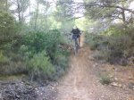 DSC08024.jpg