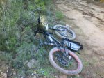 DSC08026.jpg