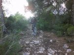 DSC08029.jpg