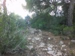 DSC08032.jpg