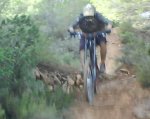 DSC08038.JPG