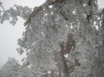 nieve_7picos19.JPG