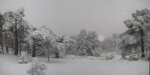 pano_nevada3.jpg