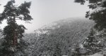 pano_nevada4.jpg