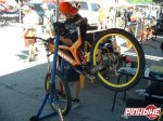pbpic34481.jpg