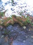 picture007.jpg