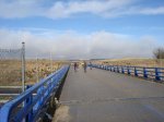 DSC01016.jpg