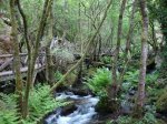 Cascada parafita1.jpg