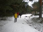 Nieve en el espinar 014.jpg