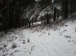 Nieve en el espinar 079.jpg