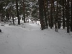 Nieve en el espinar 096.jpg