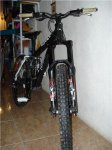 fredy 3.jpg