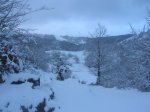 DSCN5565.jpg