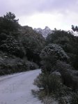 PB300113.JPG