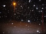 Foto14.JPG