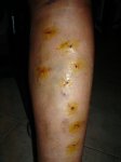 DSC02575.JPG