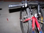 100_9793.jpg