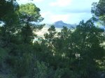 DSC00054.jpg