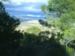DSC00055.jpg