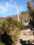 DSC01964.jpg