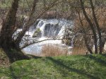 mini-IMG_3930.JPG